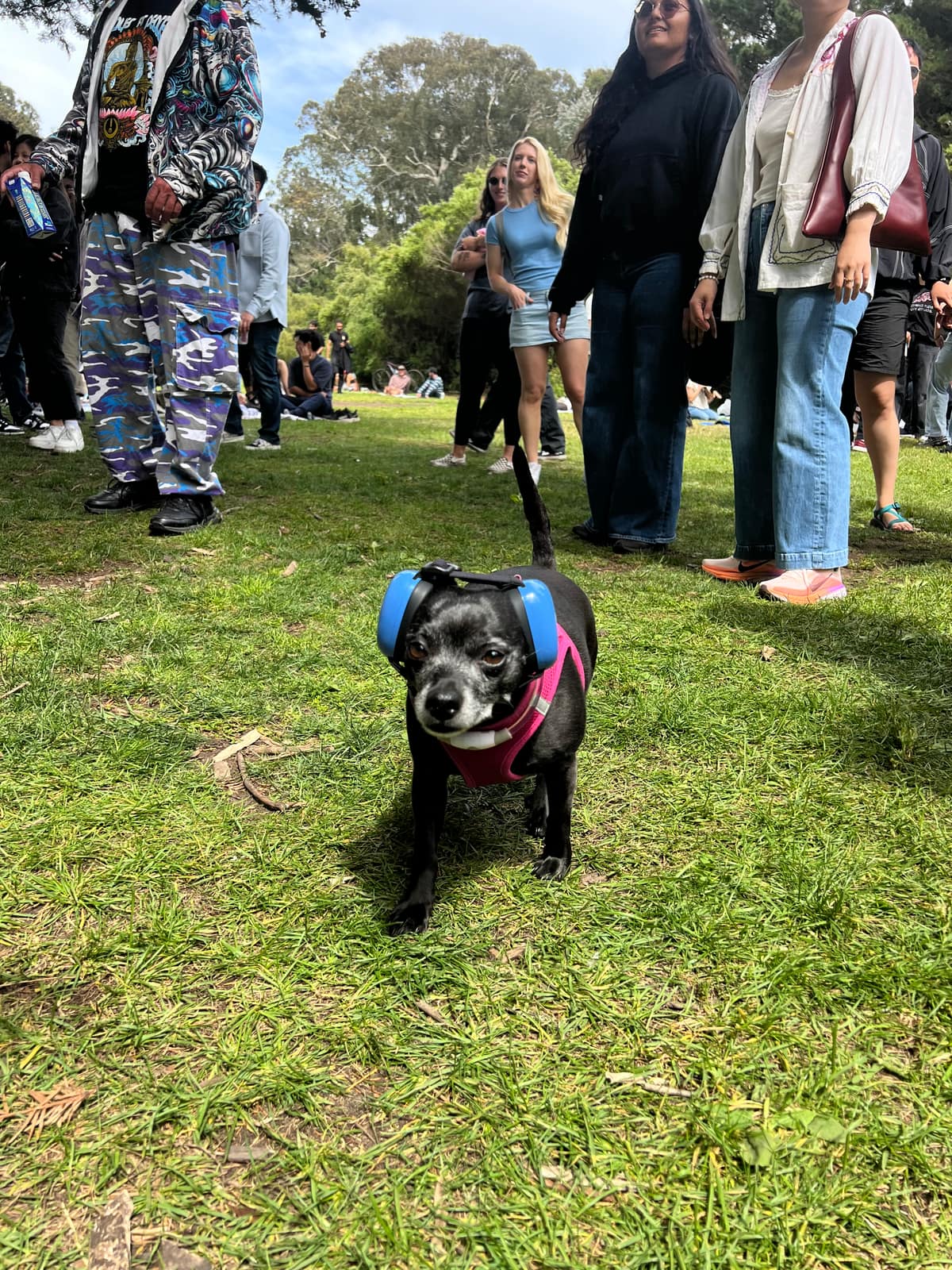 parked. vol.03 at golden gate park, san francisco — photo 9 of 14